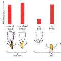 On Modern Incontinence