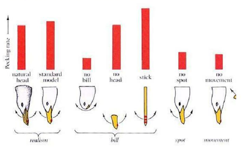 Featured image of post On Modern Incontinence